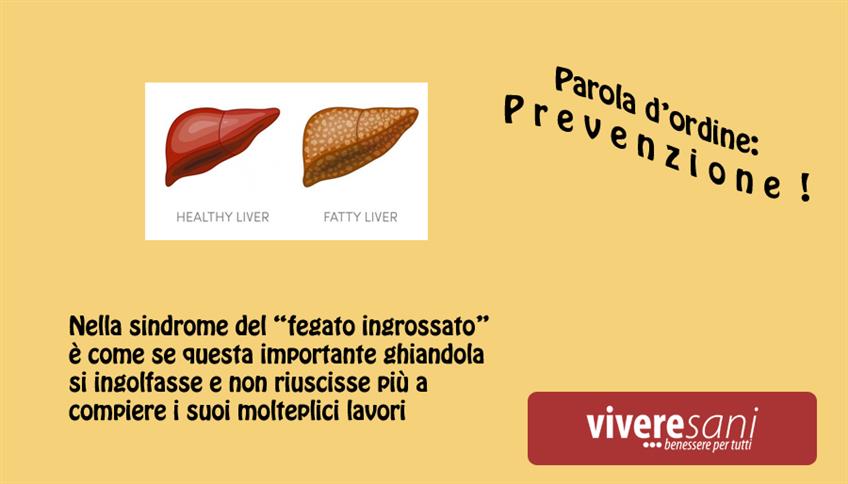 L’importanza del fegato L’importanza del fegato